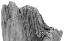 Ein Foto der Morphose I von Josef Fellsches, nach unten hin weiß auslaufend. Um die Skulptur wurde ein Auszug der Kompositionspartitur gelegt.